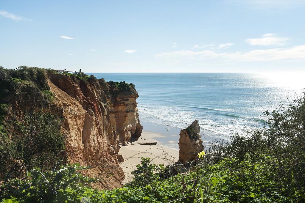 Rocha Blue Sea *